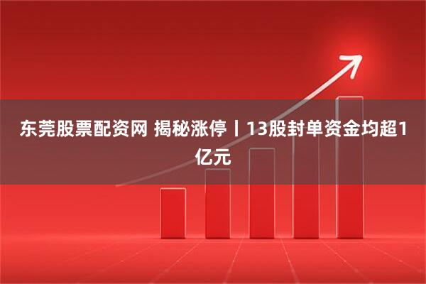 东莞股票配资网 揭秘涨停丨13股封单资金均超1亿元